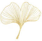 Ginkgoblad